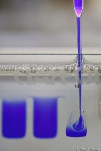 electrophoresis-microfluidics