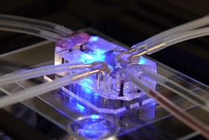 organ-on-a-chip in microfluidics