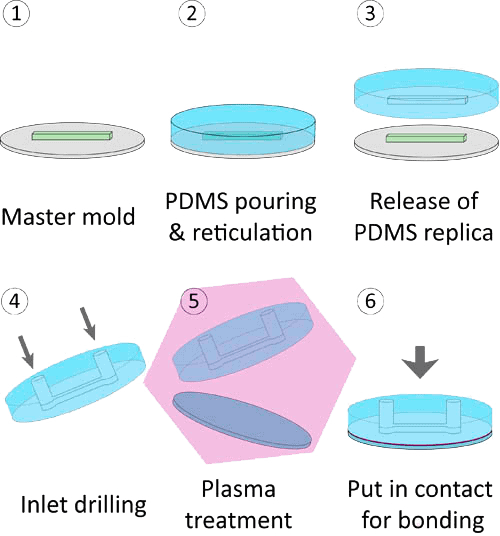 PROCESS MOLDING SINGLE LAYER PDMS DEVICE 