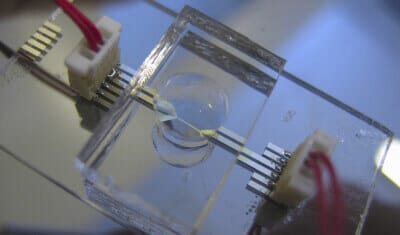 pyright microfluidic device micro thermal conductimeterpyright microfluidic device micro thermal conductimeter