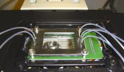 free copyright microfluidic device on microscope with fluidic connection and chip holder