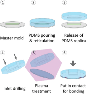 Molding process of single layer PDMS 