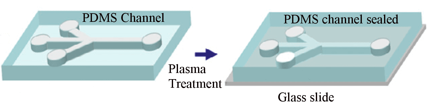 Microfluidic and PDMS soft lithography PDMS bonding short process