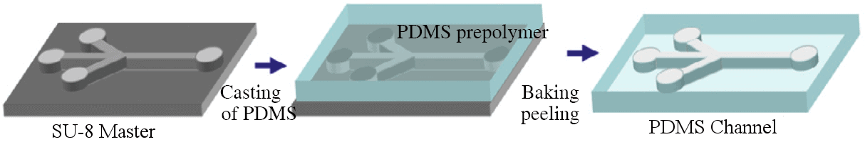 Microfluidic and PDMS soft lithography : SU-8 master short process