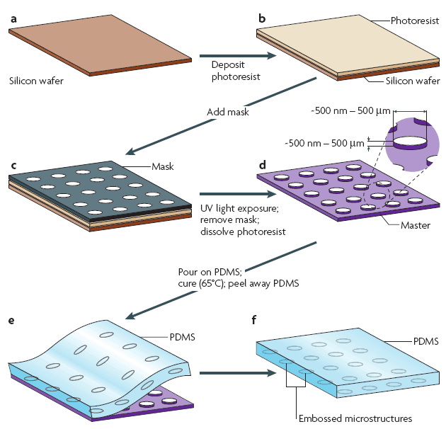 Introduction about softlithography for microfluidics Elveflow