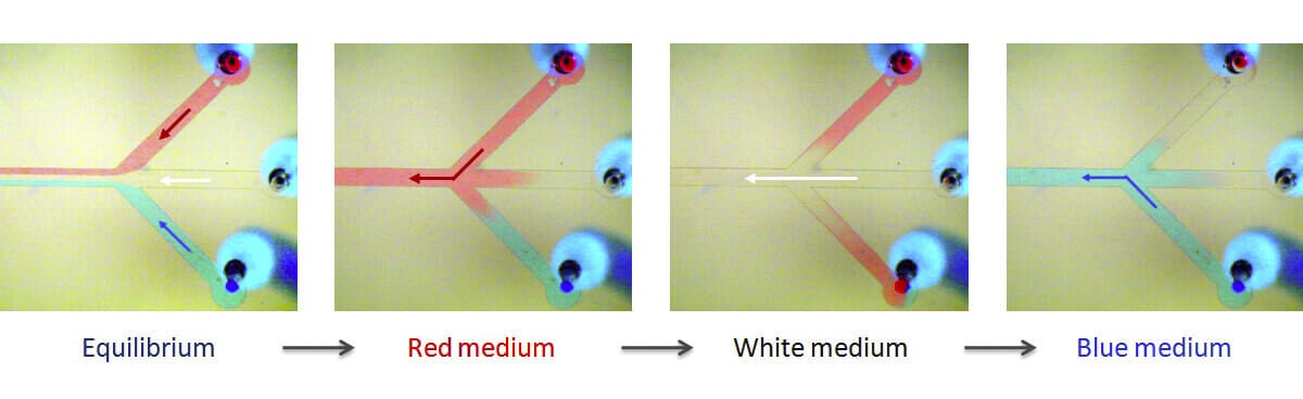 Microfluidic fast medium switch