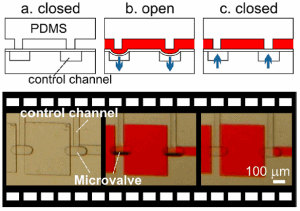 Pneumatic PDMS Quake valves and co - Doormat pneumatic microvalve