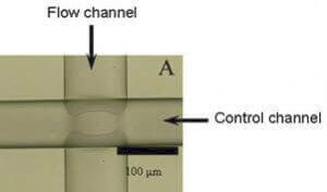 Pneumatic PDMS Quake valves and co - quake valve