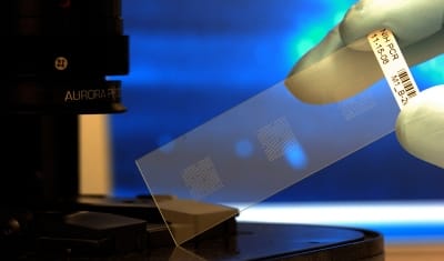 Biochip ORGAN ON CHIP microfluidic