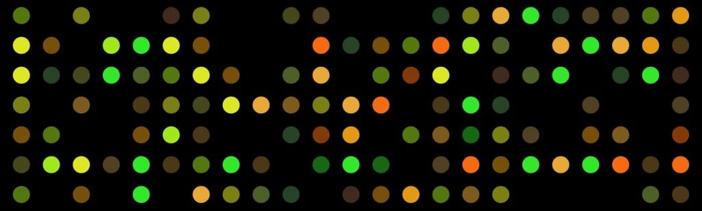 Microfluidic DNA array on chip