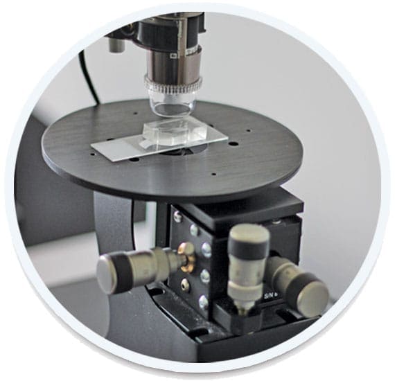 fluorescent droplets Optical detection microfluidic