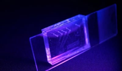 PDMS microfluidic chip