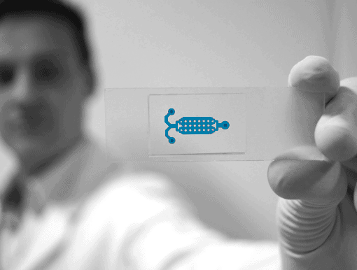 Soft-Lithography-Microfluidic-Chip
