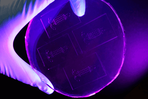 pdms soft lithography replication device