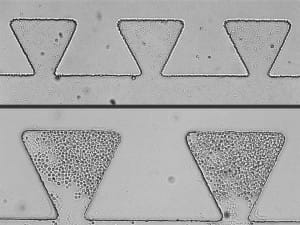 microfluidic applications