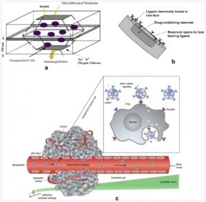 Microfluidics as a tool for drug delivery