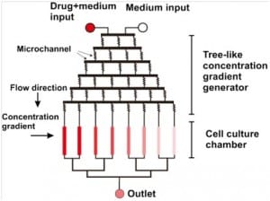 Microfluidics as a tool for drug delivery