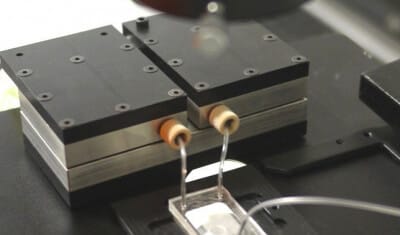 Cherry-ultra-fast-heater-cooler-for-live-cell-imaging