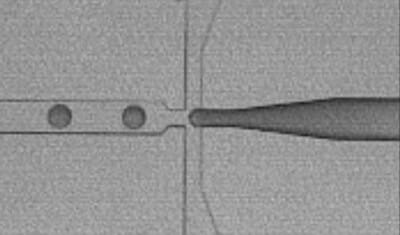 Droplet generation in microfluidic chip