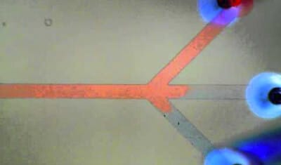 Fast Microfluidic Medium switch