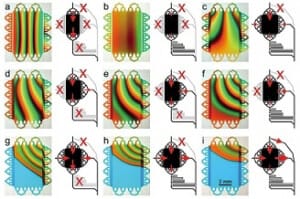 Microfluidics gradient