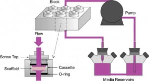 Microfluidic cell culture perfusion