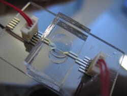 Microfluidic chip made of PDMS/glass with electrodes