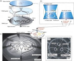 Microfluidic palette for stable chemichal gradients