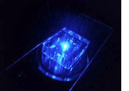Microfluidic glass PDMS chip