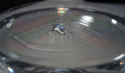 PDMS-membrane-short