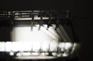 PDMS microfluidic light microfluidic company