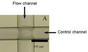 Pneumatic PDMS Quake valves