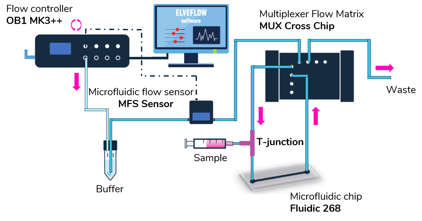 Stop Flow setup