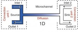 cross channel microfluidic gradient generator