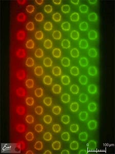 free copyright microfluidic device for stamping gradient - Flow Injection Analysis a review on instrumentation