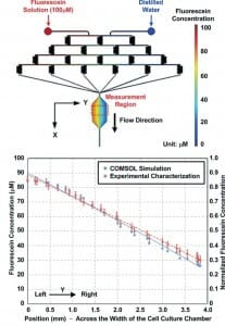 microfluidic gradient generator PDMS - Chang et al and COMSOL software