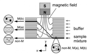 Bulk magnets for continuous microfluidic particle sorting