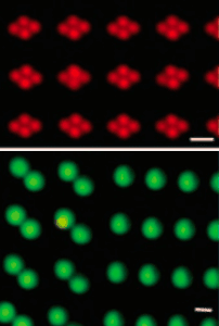 Permanent magnets for microfluidic particle positioning