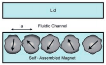 Permanent magnets for microfluidic particle sorting