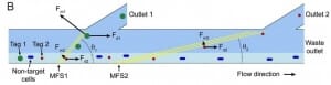 Soft magnetic elements for continuous multiple microfluidic particle sorting