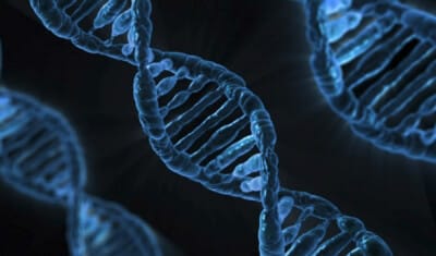 Microfluidics for DNA analysis_DNA