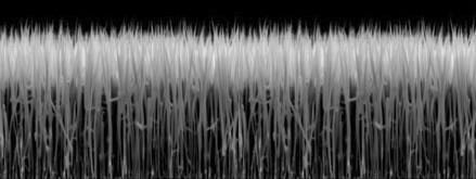 Microfluidics for DNA analysis_Mechanical Cell Lysis