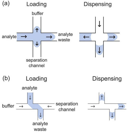 Resultado de imagem para microchip floating electrophoresis