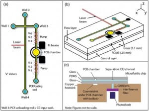 microfluidics for dna analysis pcr amp electrophoresis electrophoresis vs paper chromatography venn diagram