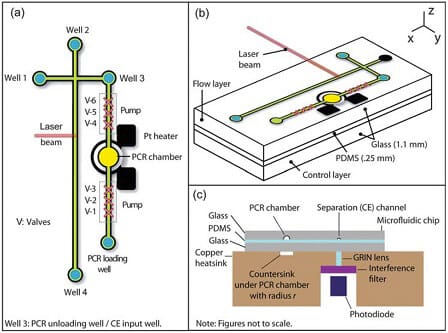 Microfluidics for DNA analysis_PCR & Electrophoresis