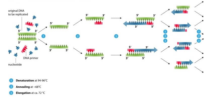 Microfluidics for DNA analysis_PCR