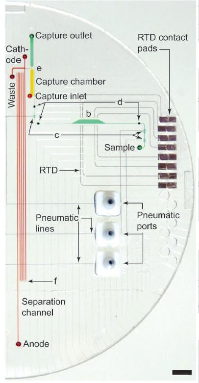 microfluidic sanger sequencing lab on chip