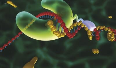 Microfluidic PCR, qPCR, RT-PCR & qRT-PCR_PCR & DNA polymerase