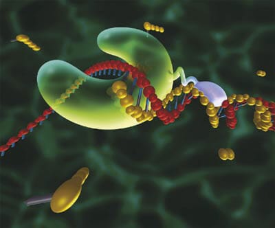 Microfluidic PCR, qPCR, RT-PCR & qRT-PCR_PCR & DNA polymerase