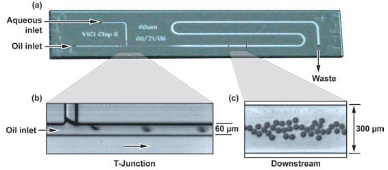 Microfluidic PCR, qPCR, RT-PCR & qRT-PCR_digital qPCR